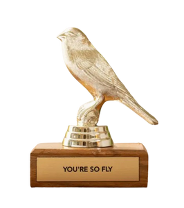 You're So Fly Trophy