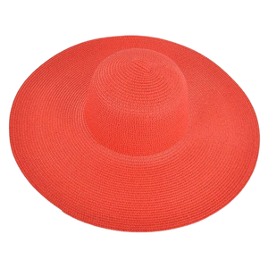 Beige Wide Brim Floppy Hat