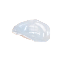 Ceramic Oyster Dish