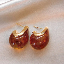 Tortoise Dome Teardrop Earring