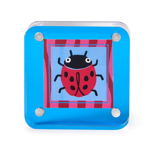 Ladybug 3x3 Acrylic Frame