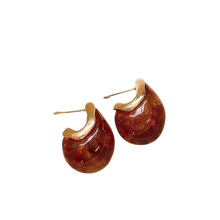 Tortoise Dome Teardrop Earring