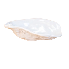 Ceramic Oyster Dish