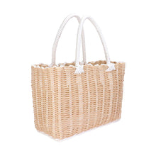 LaLa Beach Pool Tote