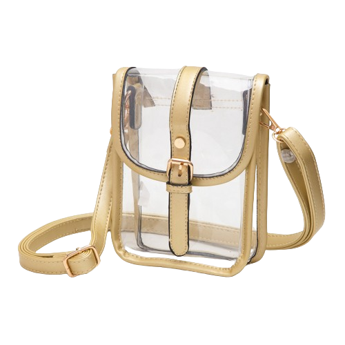 Gold Kara Clear Bag