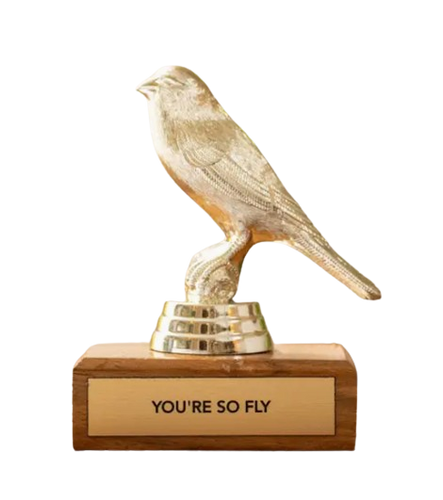 You're So Fly Trophy