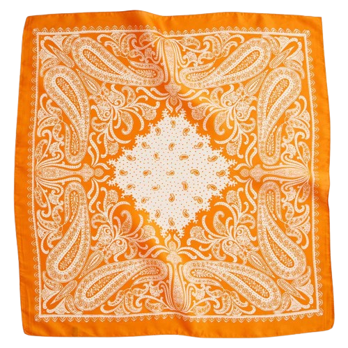Orange Patterned Silky Scarf