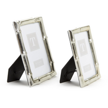 Silver Bamboo Frame