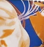 Patterned Silky Scarf