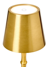 Gold Bamboo Cordless LED Lamp