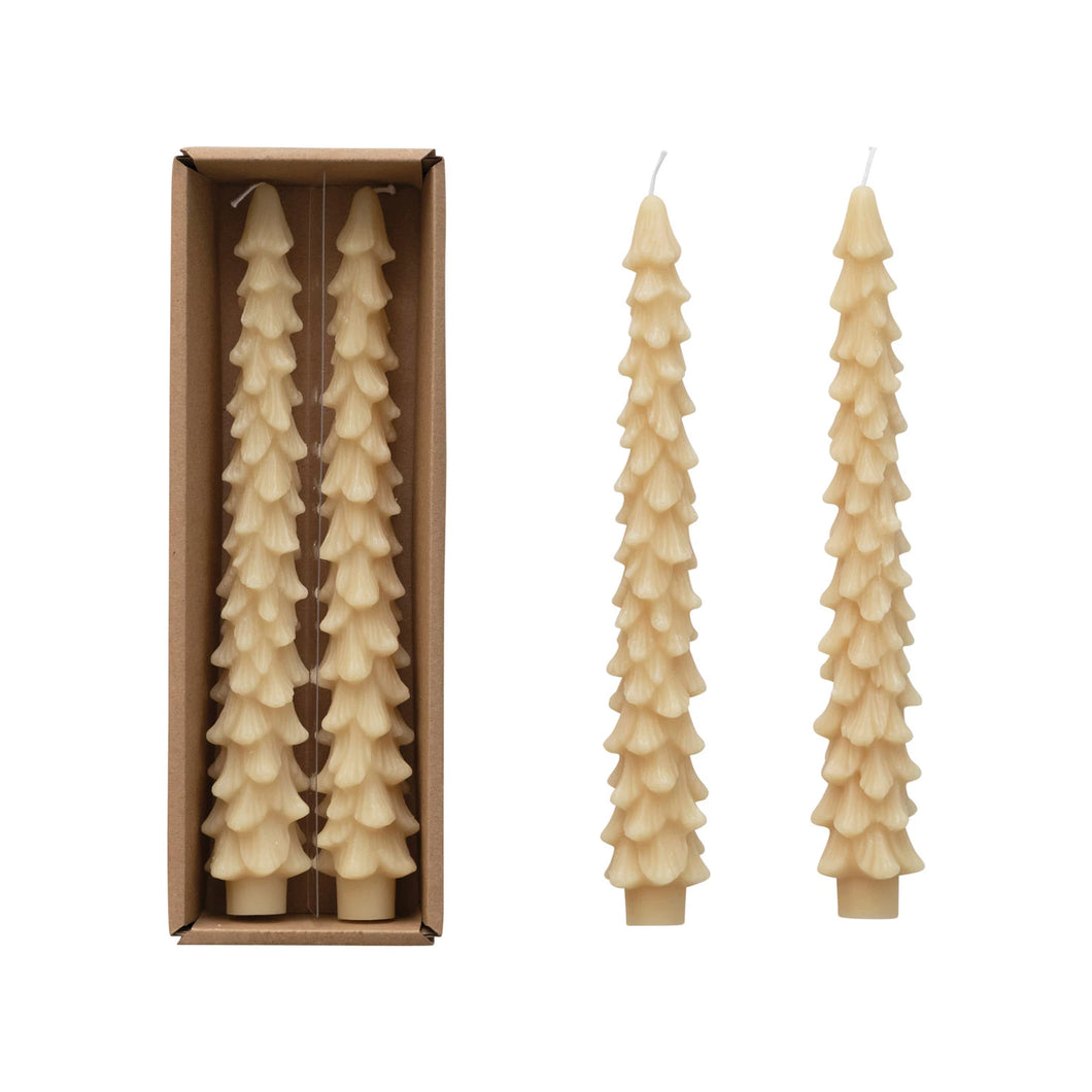 Ivory Tree Tapers, Set of 2