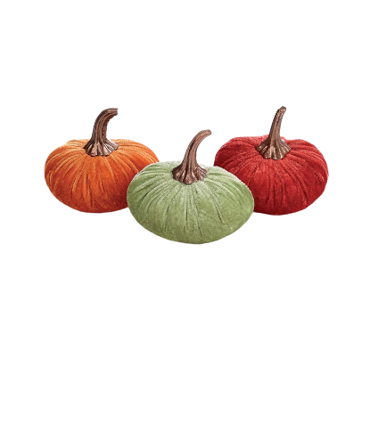 Velvet Pumpkin